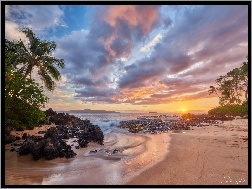Wyspa Maui, Palmy, Chmury, Morze, Hawaje, Zachód słońca